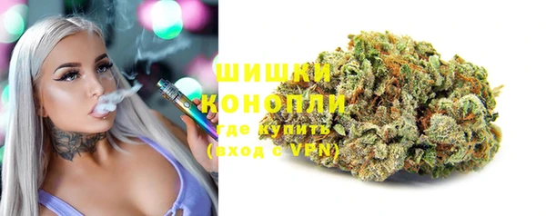 винт Верея
