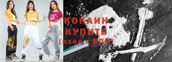 винт Верея