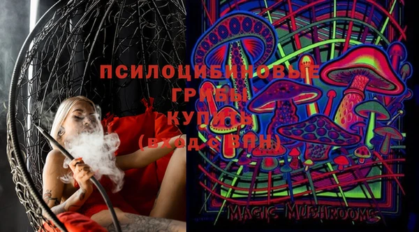 винт Верея