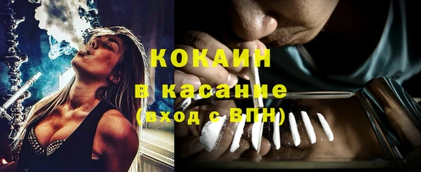 винт Верея