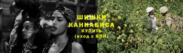 винт Верея