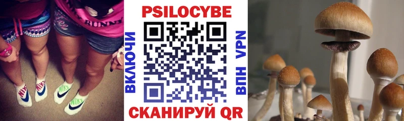 Галлюциногенные грибы прущие грибы  Горячеводский 